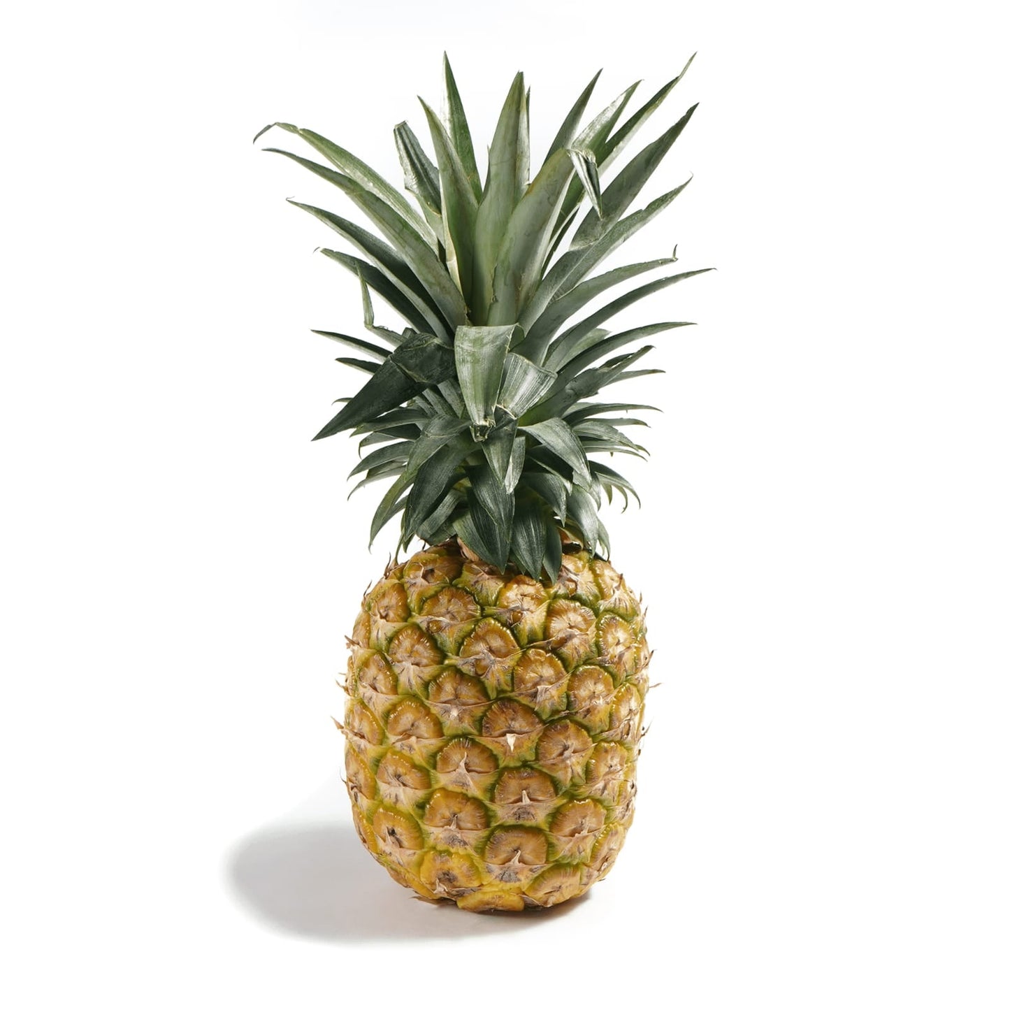 PIÑA ORO MIEL